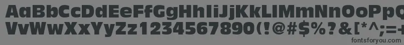Шрифт AntiqueolivestdCompact – чёрные шрифты на сером фоне