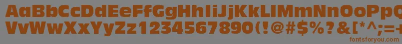 AntiqueolivestdCompact-Schriftart – Braune Schriften auf grauem Hintergrund