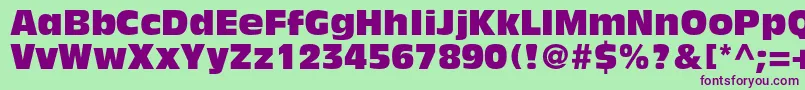 Шрифт AntiqueolivestdCompact – фиолетовые шрифты на зелёном фоне
