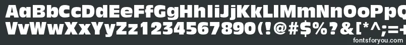Шрифт AntiqueolivestdCompact – белые шрифты на чёрном фоне