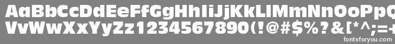 AntiqueolivestdCompact Font – White Fonts on Gray Background