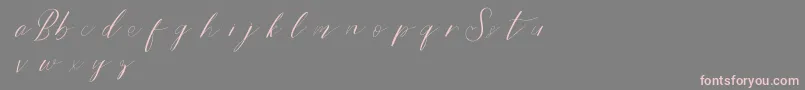 Bridestyledemo Font – Pink Fonts on Gray Background