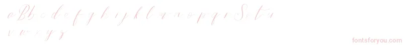 Bridestyledemo-Schriftart – Rosa Schriften