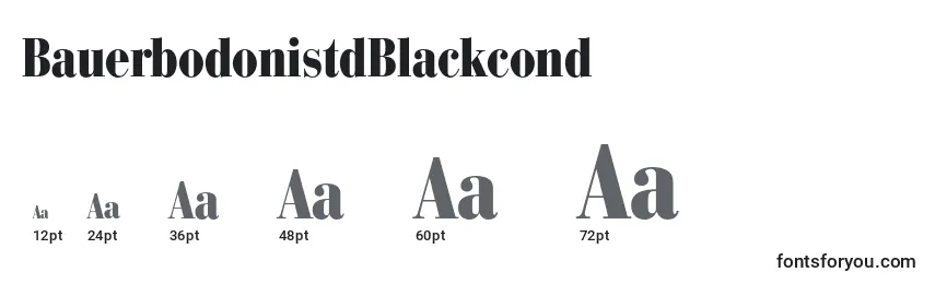 BauerbodonistdBlackcond Font Sizes