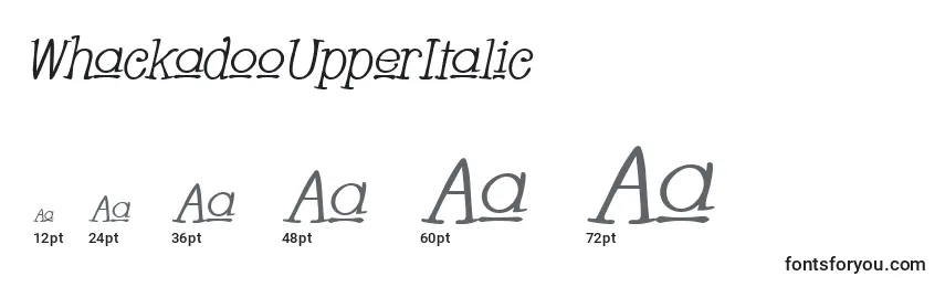 WhackadooUpperItalic Font Sizes