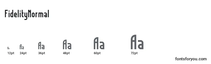 FidelityNormal Font Sizes