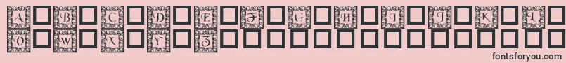 Dlfillegreecaps Font – Black Fonts on Pink Background