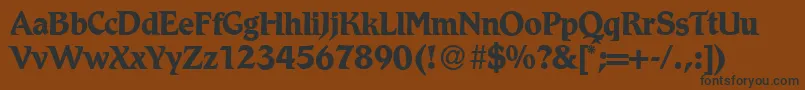 R790RomanBold Font – Black Fonts on Brown Background