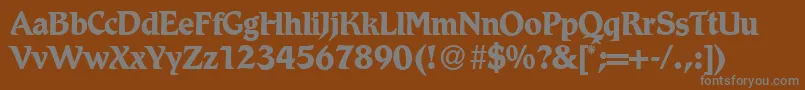 Шрифт R790RomanBold – серые шрифты на коричневом фоне