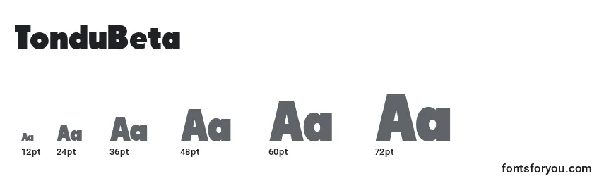 TonduBeta Font Sizes
