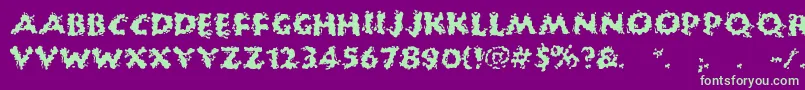 HuckleBuff Font – Green Fonts on Purple Background