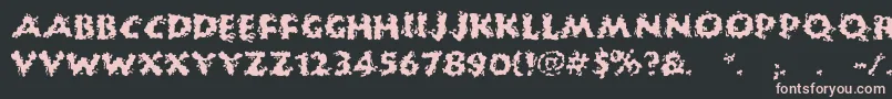 HuckleBuff Font – Pink Fonts on Black Background