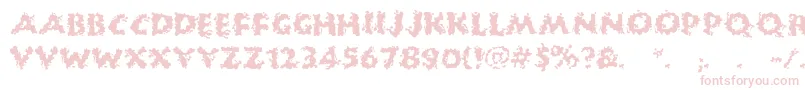 HuckleBuff Font – Pink Fonts on White Background