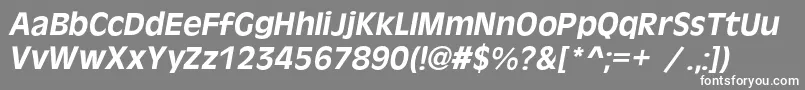 OlivercBolditalic Font – White Fonts on Gray Background