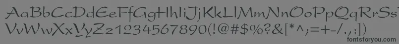 ArxCyr Font – Black Fonts on Gray Background