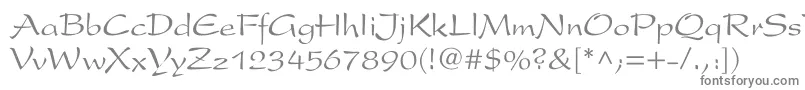 ArxCyr Font – Gray Fonts on White Background