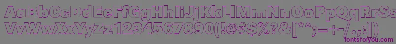 GroteskouBold Font – Purple Fonts on Gray Background