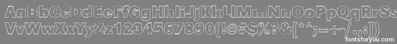 GroteskouBold Font – White Fonts on Gray Background