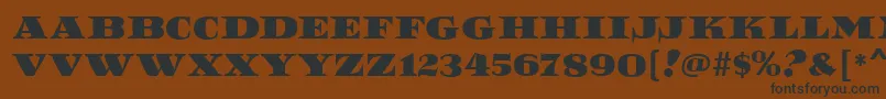ReefMf Font – Black Fonts on Brown Background