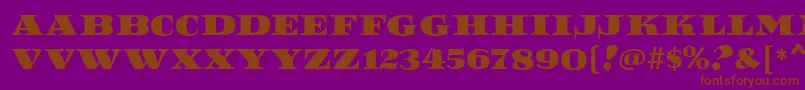ReefMf Font – Brown Fonts on Purple Background