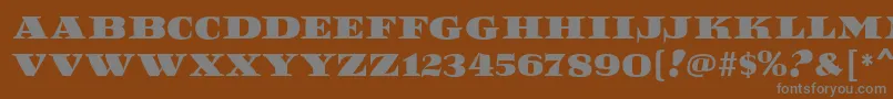 ReefMf Font – Gray Fonts on Brown Background