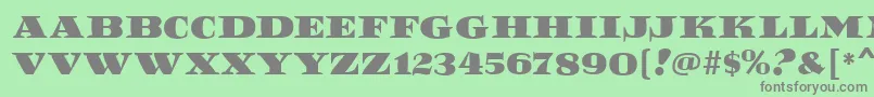 ReefMf-Schriftart – Graue Schriften auf grünem Hintergrund