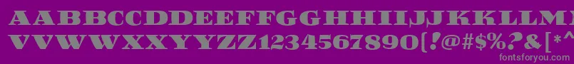 ReefMf Font – Gray Fonts on Purple Background