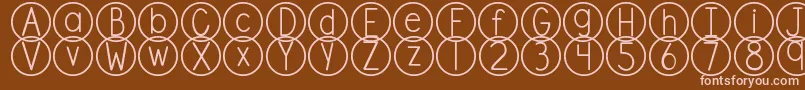 DjbStandardizedTest Font – Pink Fonts on Brown Background