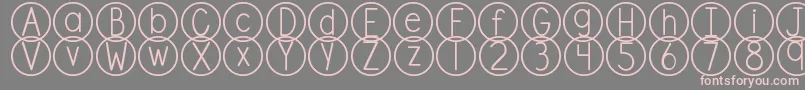 DjbStandardizedTest Font – Pink Fonts on Gray Background
