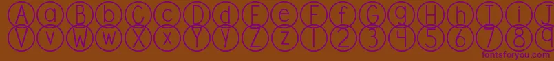 DjbStandardizedTest Font – Purple Fonts on Brown Background