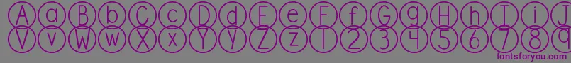 DjbStandardizedTest-fontti – violetit fontit harmaalla taustalla