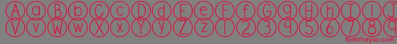 DjbStandardizedTest Font – Red Fonts on Gray Background