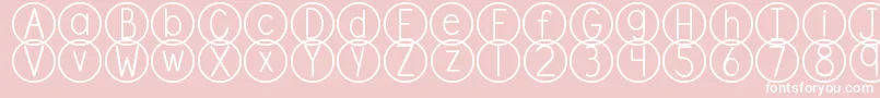 DjbStandardizedTest Font – White Fonts on Pink Background