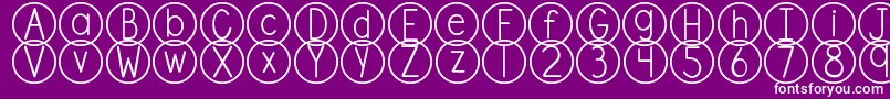 DjbStandardizedTest Font – White Fonts on Purple Background