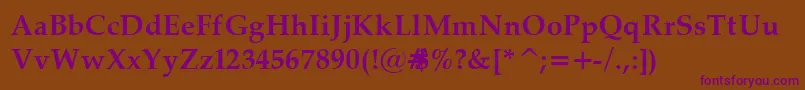 Palat32 Font – Purple Fonts on Brown Background