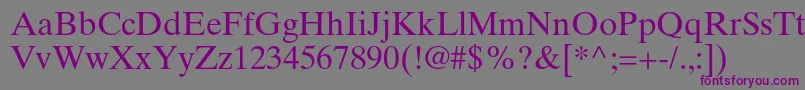 TimestenltstdRoman Font – Purple Fonts on Gray Background