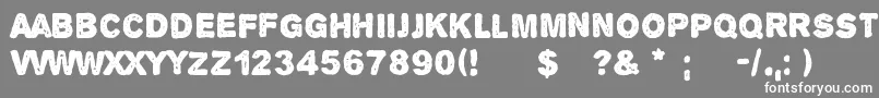 AlphaEcho Font – White Fonts on Gray Background