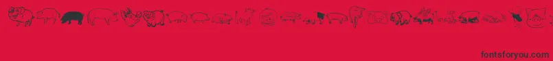 フォントPigrules – 赤い背景に黒い文字