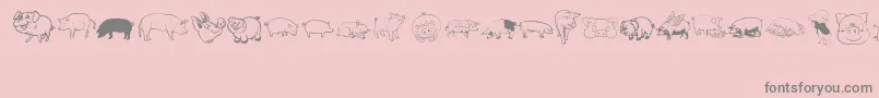 Pigrules Font – Gray Fonts on Pink Background