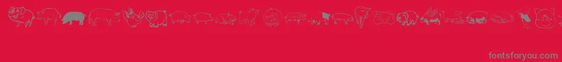 Pigrules Font – Gray Fonts on Red Background