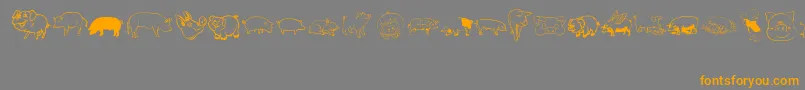 Pigrules Font – Orange Fonts on Gray Background