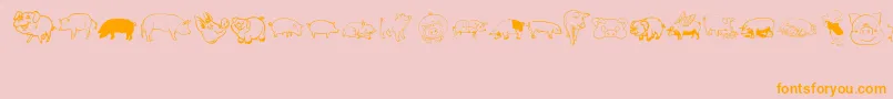 Police Pigrules – polices orange sur fond rose