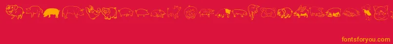 Pigrules Font – Orange Fonts on Red Background