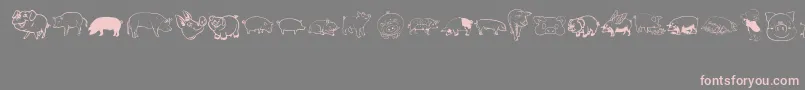 Pigrules Font – Pink Fonts on Gray Background