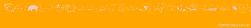 Pigrules Font – Pink Fonts on Orange Background