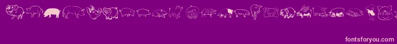 Pigrules Font – Pink Fonts on Purple Background