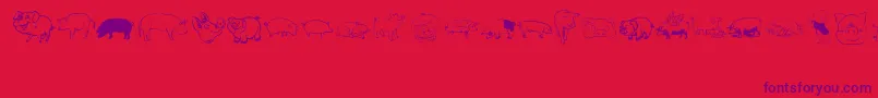 fuente Pigrules – Fuentes Moradas Sobre Fondo Rojo