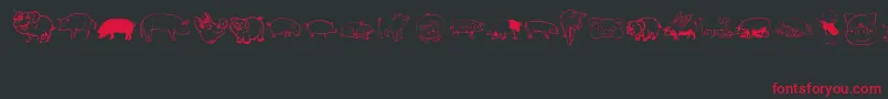 Pigrules Font – Red Fonts on Black Background