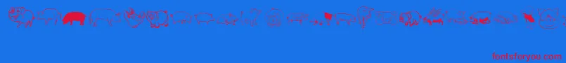 Pigrules Font – Red Fonts on Blue Background
