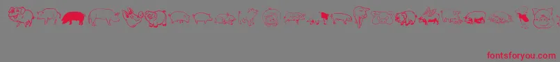 フォントPigrules – 赤い文字の灰色の背景